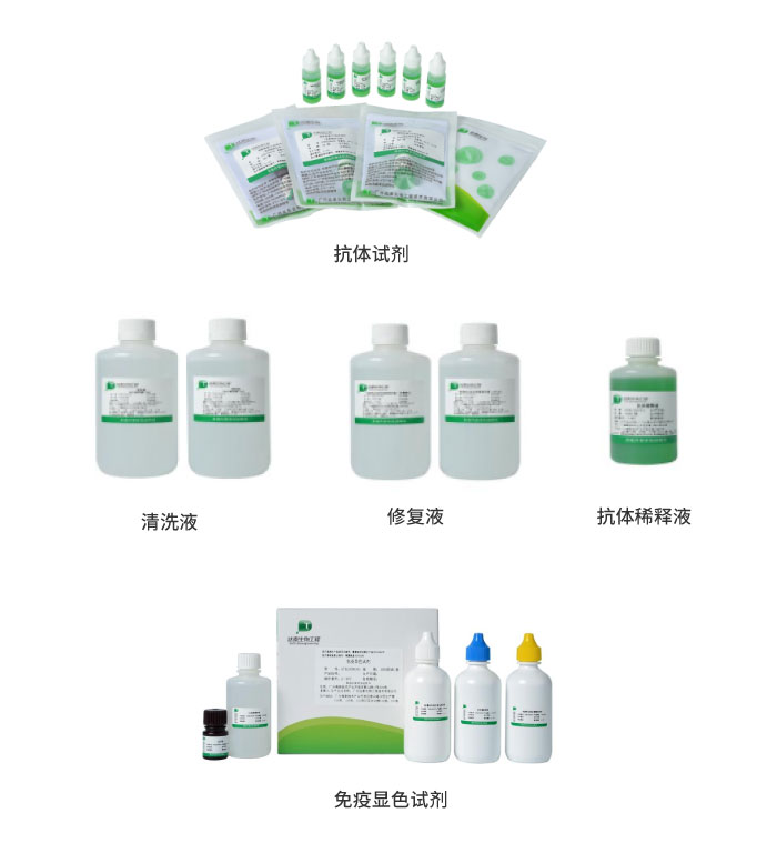 瓦力游戏| 首页 -瓦力出品,必属精品