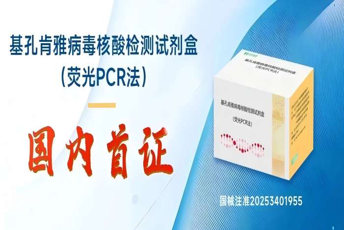 瓦力游戏| 首页 -瓦力出品,必属精品